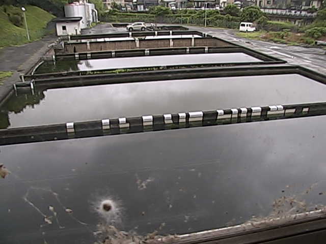 still image